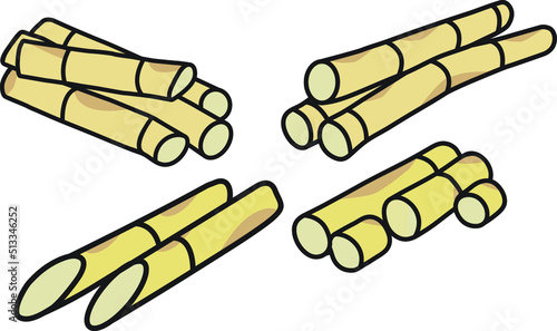 Sugarcane colorful doodle isolated on white background