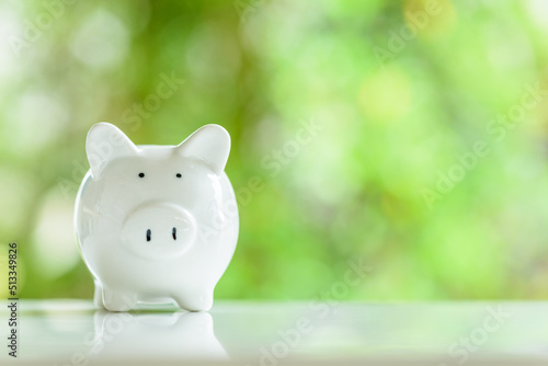 Fototapeta Minor children savings account, financial concept : White ceramic piggy bank on