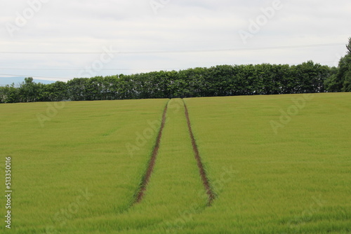 Tractor tracks on an agricultural field in Edinburgh 