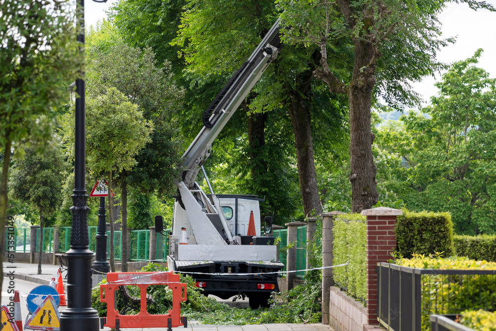 Seasonal tree pruning with a lifting work platform of hydraulic car crane Seasonal tree pruning with a lifting work platform of hydraulic car crane