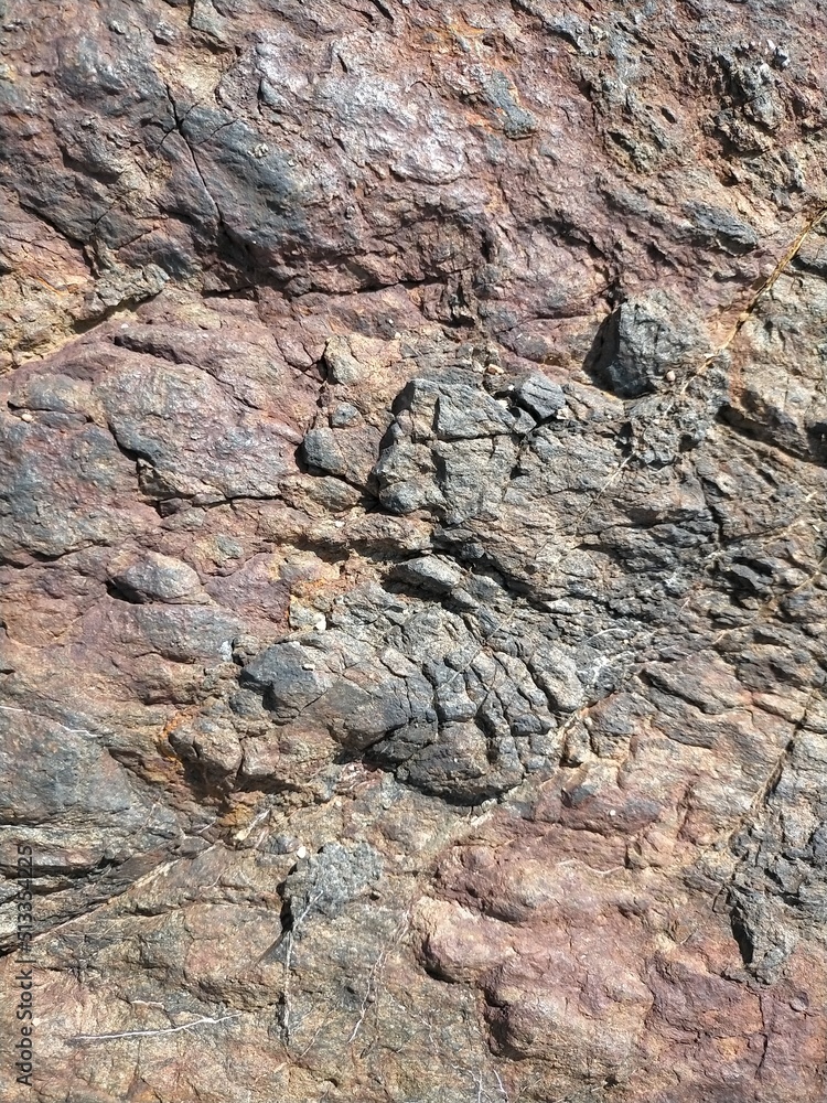 Fototapeta premium Background, texture of rust colored sea stone.