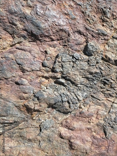 Background, texture of rust colored sea stone.