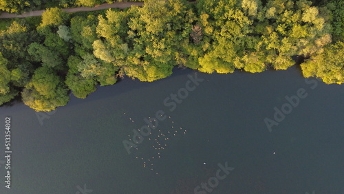 lake and forest view. Landscape and ducks with drone