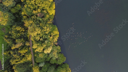 lake and forest view. Landscape and ducks with drone