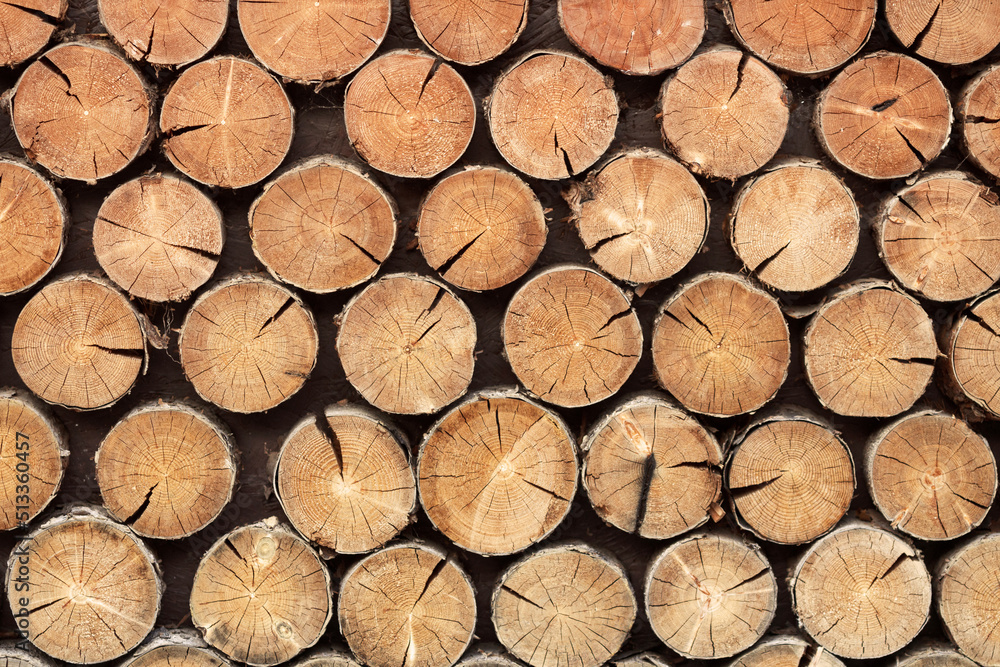 Wooden background from many tree cuts in a warehouse Wooden background from many tree cuts in a warehouse