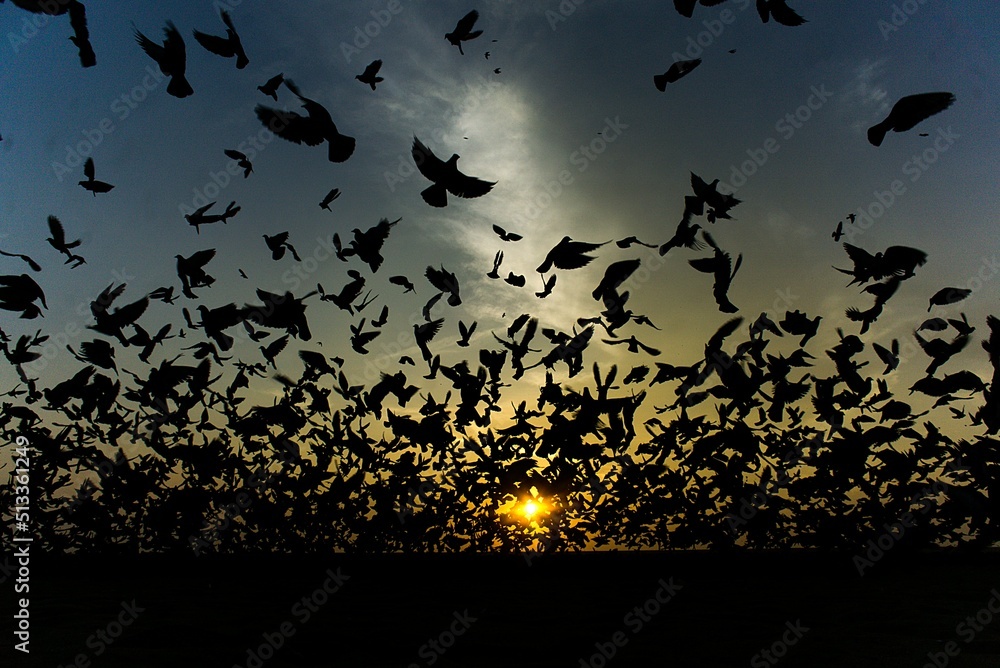 Fototapeta premium Liberty