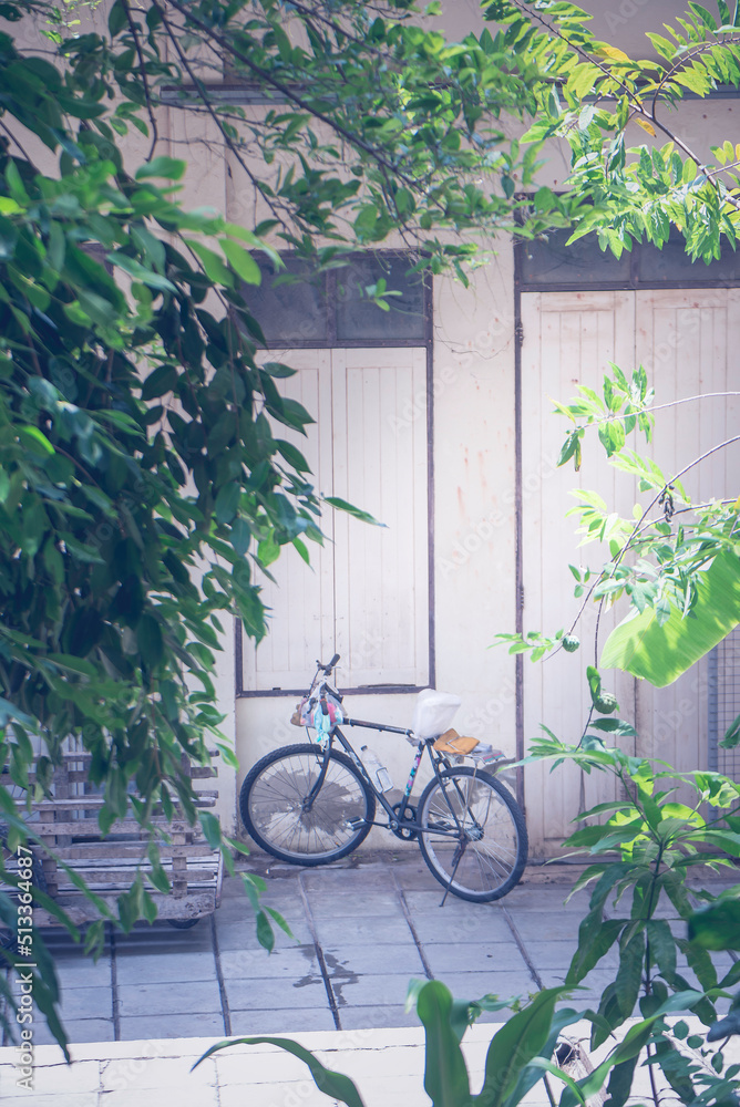 old bicycle, looking through the bushes