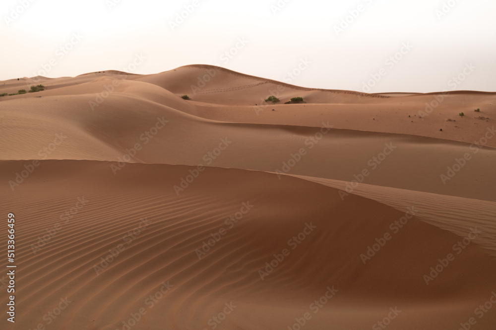 The magical landscape of sand dunes in Al Wathba desert in Abu Dhabi, United Arab Emirates.