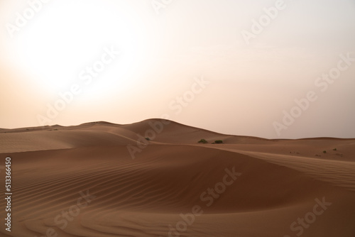 The infinite landscape of sand dunes in Al Wathba desert in Abu Dhabi, United Arab Emirates.