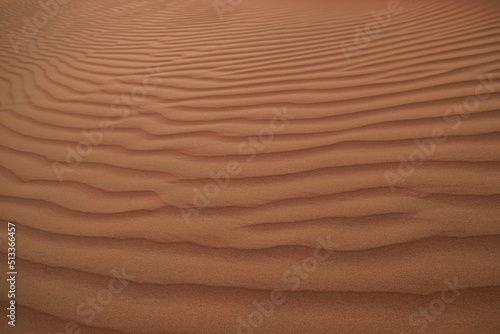 Close-up of flat orange sand dunes in Al Wathba desert, Abu Dhabi, United Arab Emirates. © pam