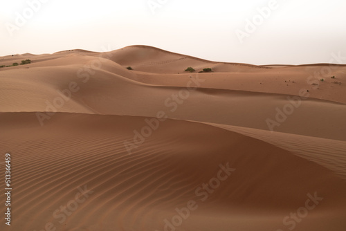 The magical landscape of sand dunes in Al Wathba desert in Abu Dhabi, United Arab Emirates.
