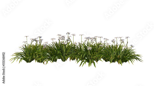 Plants and flowers with white background