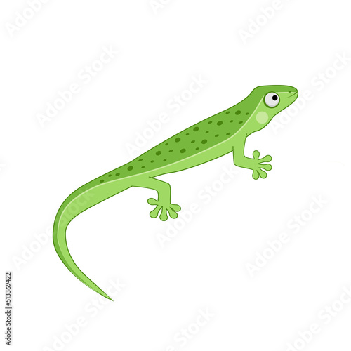 Obraz na płótnie Lizard, vector illustration isolated on white background, reptile w salonie