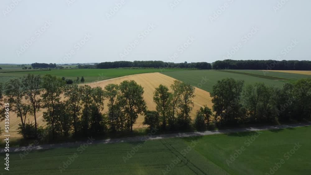 Hilly landscape with weath fields in south Limburg in the Netherlands, near a place called Klimmen Hilly landscape with weath fields in south Limburg in the Netherlands, near a place called Klimmen