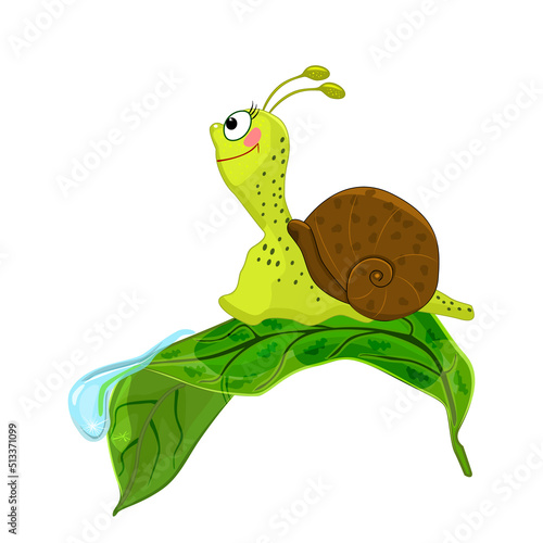Snail on leaf isolated on white background. Cartoon cochlea on green leaf with dew drop. Snail crawling on garden or forest grass. Funny slug  in summer nature. Cute mollusk. Stock vector illustration