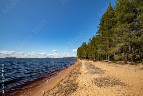 Fototapeta Naklejka Na Ścianę i Meble -  Syamozero in Karelia on a sunny day. Karelian lakes.