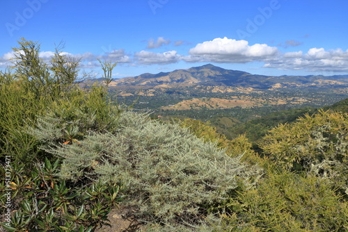 Mt Diablo and California Sagebrush, Las Trampas Regional Wilderness, California photo