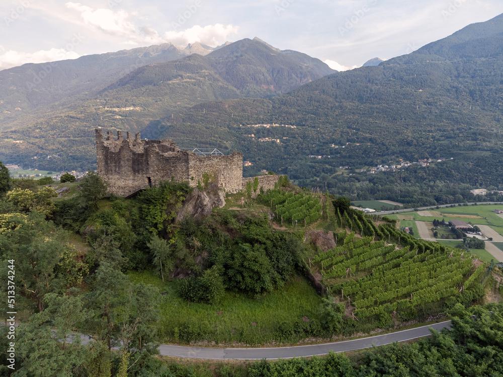 Terraced vineyards in the hills of Valtellina