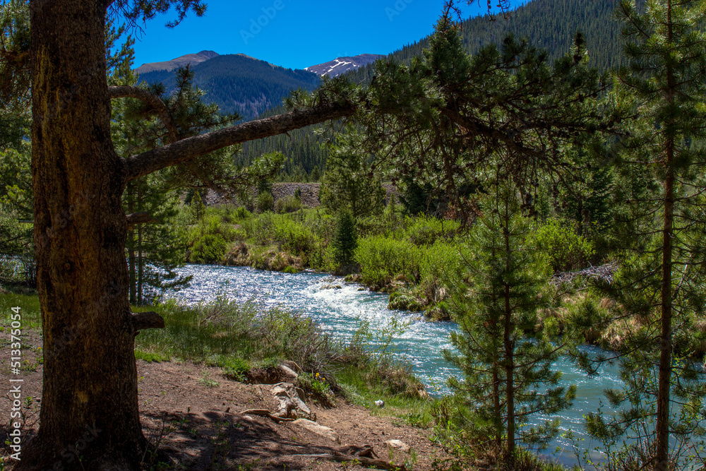 The Snake River flows through White River National Forest in Colorado The Snake River flows through White River National Forest in Colorado