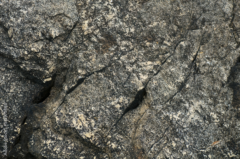 Fototapeta premium texture of a stone