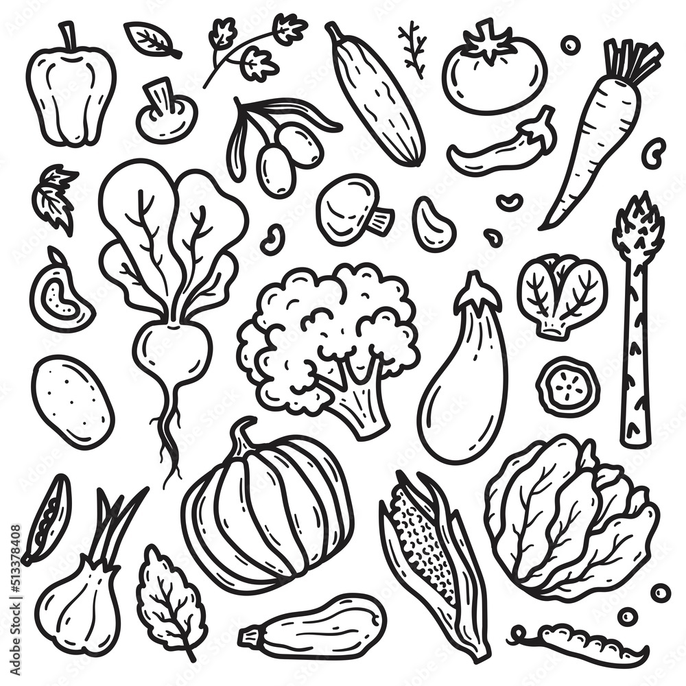 set of different vegetables from doodle elements vector illustration