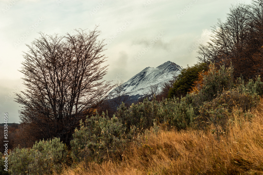 Andes mountain range with its forest in autumn. Ushuaia, Argentina