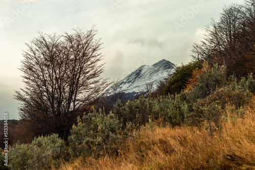 Obraz na płótnie Andes mountain range with its forest in autumn. Ushuaia, Argentina w salonie
