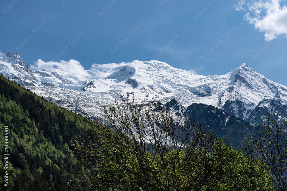 Mountain landscape with forest and Mont Blanc behind
