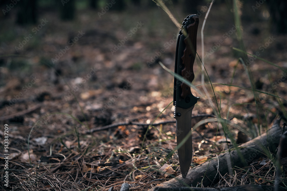 Tactical knife for survival and protection in difficult conditions, stuck tree branch forest. Tactical knife for survival and protection in difficult conditions, stuck tree branch forest.