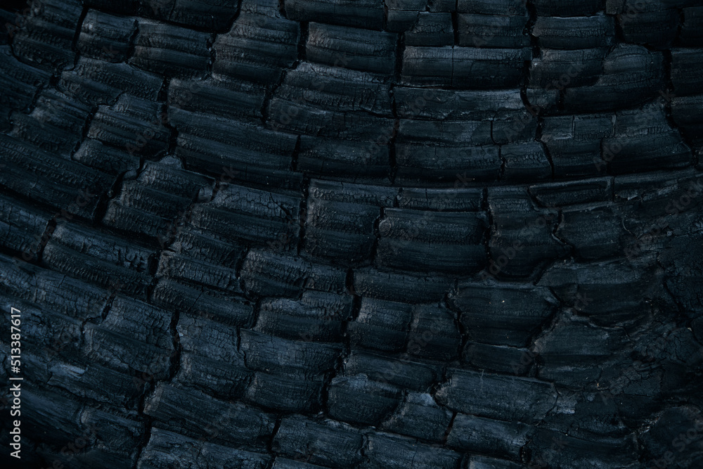 Abstract background burnt charred board. Abstract background burnt charred board.