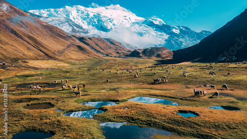 Ausangate Mountain with alpacas and lakes, in the city of Cusco Peru.