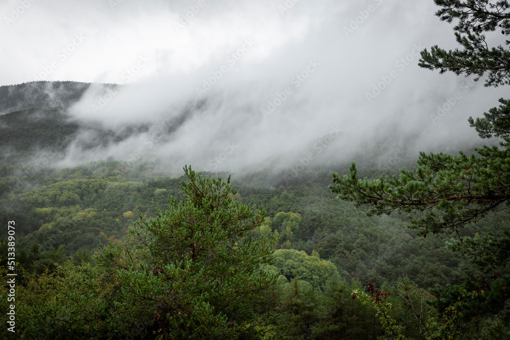 a misty landscape on a forest next to Gavín, municipality of Biescas (Alto Gállego), province of Huesca, Aragon, Spain a misty landscape on a forest next to Gavín, municipality of Biescas (Alto Gállego), province of Huesca, Aragon, Spain