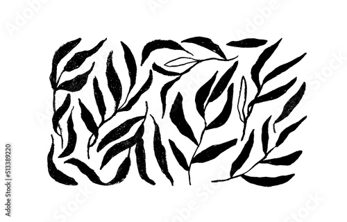 Set of branches with long leaves. Olive or palm leaves, herbs silhouettes. Rustic decorative vector plants isolated on white background. Hand drawn black botanical silhouettes. Black foliage