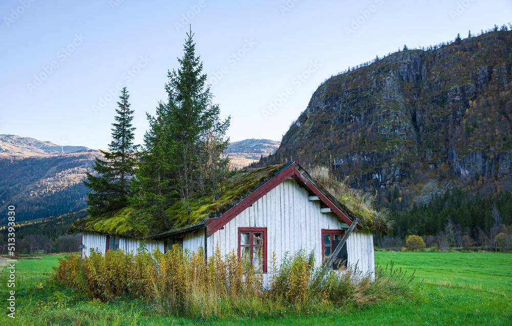 Overgrown House with a Small Forest on Its Roof, in Hemsedal, Norway Overgrown House with a Small Forest on Its Roof, in Hemsedal, Norway