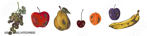 Set of rotten fruit-apple, pear, plum, apricot, cherry, grape, and banana. Fruit in cartoon style isolated on white background. Vector
