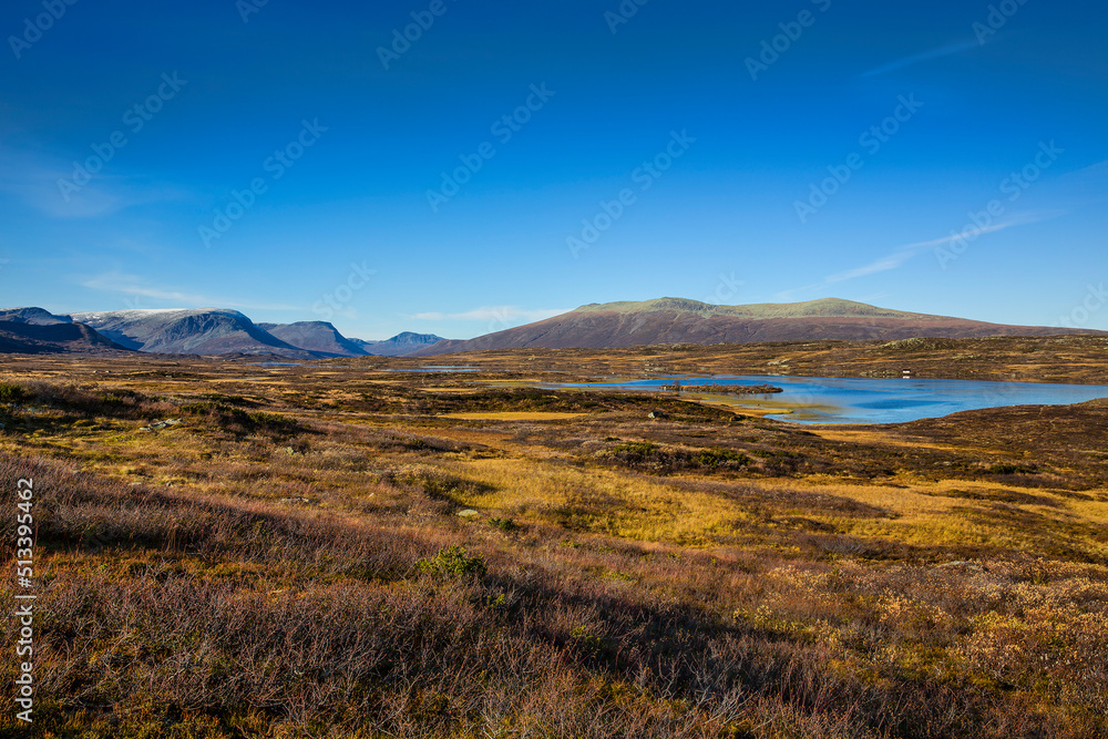 View of the Area around Hundsemvatnet in the Mountains of Hemsedal, Near Skogshorn and Lykkja, Norway