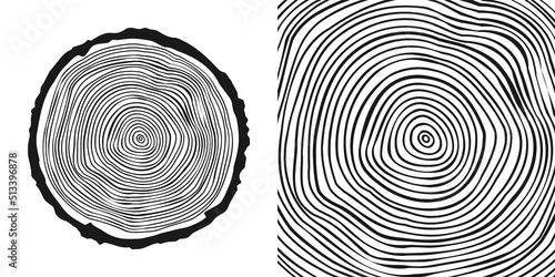 Round tree trunk cut, sawn pine or oak slice. Saw cut timber, wood. Wooden texture with tree rings. Hand drawn sketch. Vector illustration