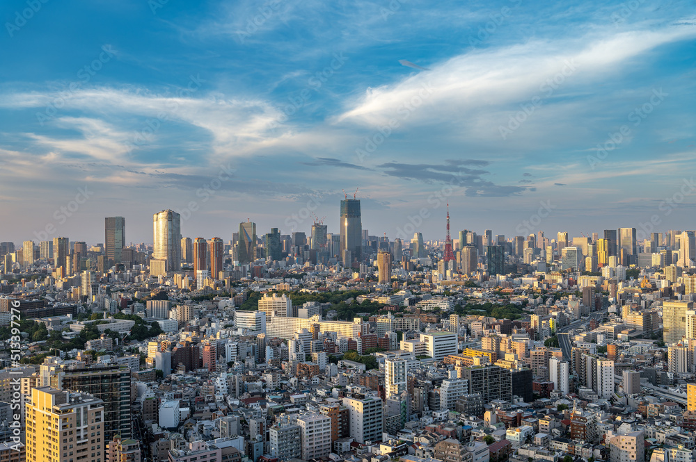 東京都渋谷区恵比寿の高層ビルから見た東京の都市景観