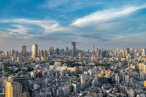 東京都渋谷区恵比寿の高層ビルから見た東京の都市景観 © zu_kuni