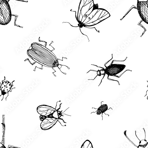 Vector background with hand-drawn illustrations of insects. Drawing fly beetle moth. Entomological seamless pattern.