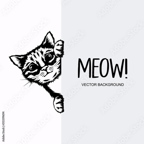Vector Monochrome Hand Drawn Black, White Hiding Peeking Kitten with Paws. Kitten Head Peeking Over Vertical Blank White Placard, Poster, Banner. Pet Kitten Curiously Peeking Behind White Background