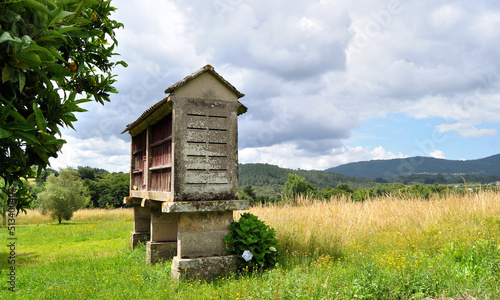 Espigueiro típico de pequenas aldeias antigas minhotas portuguesas e espanholas, com planta de flores, granjas,no meio de um campo photo