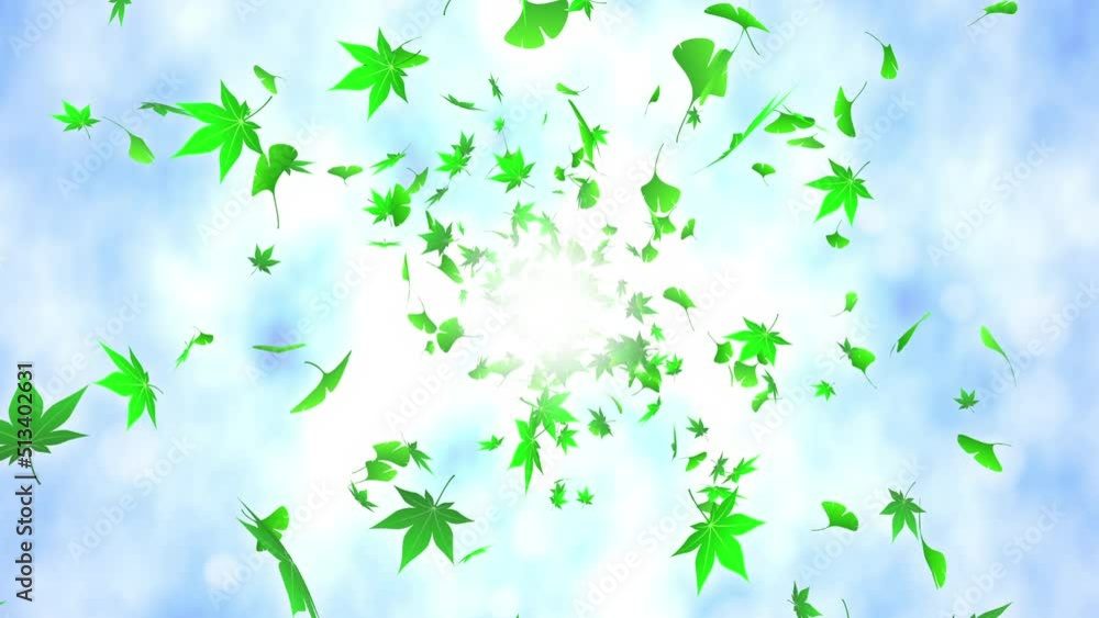 Loop back center maple ginkgo bright background Loop back center maple ginkgo bright background