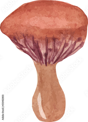 watercolor mushroom with wavy cap vector isolated hand drawn
