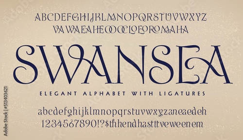 An elegant and ornate old world alphabet, Swansea includes numerous two-letter ligature specialty glyphs.