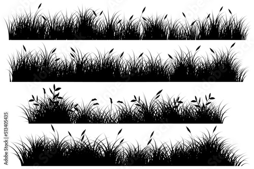 reeds wildlife