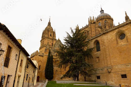 Impressive view of ancient Cathedral of Salamanca at Castile and Leon region, Spain