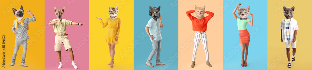 Set of funny cats with human bodies on colorful background - obrazy, fototapety, plakaty 