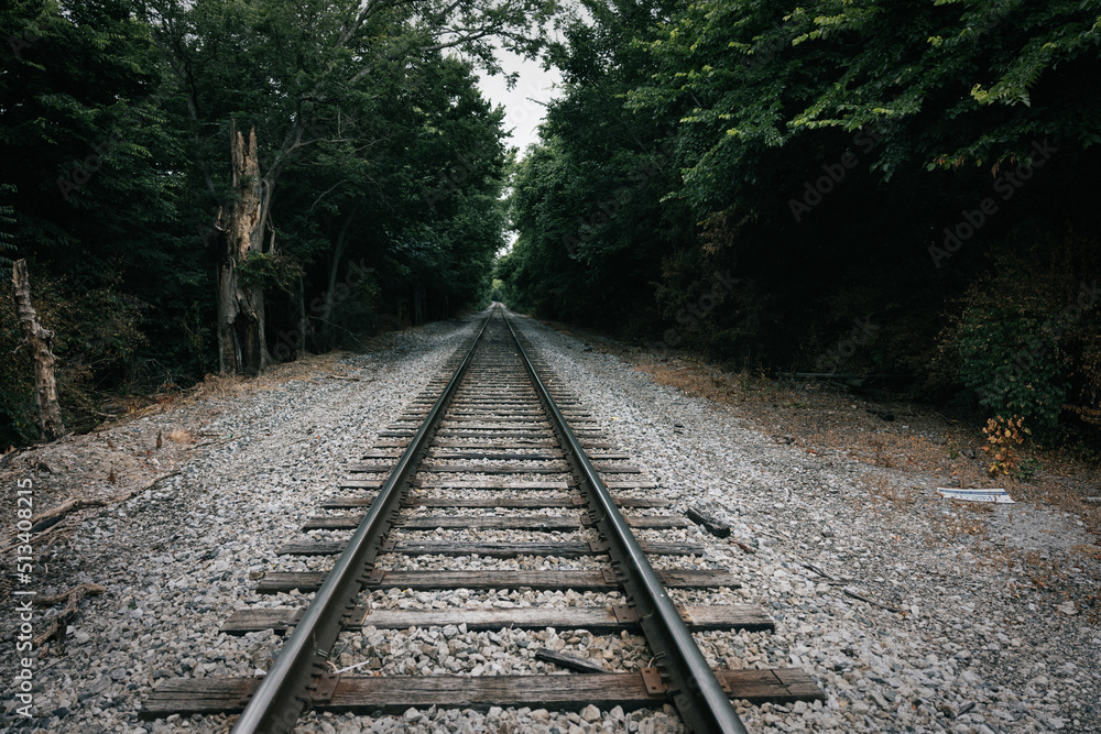 railway in the woods