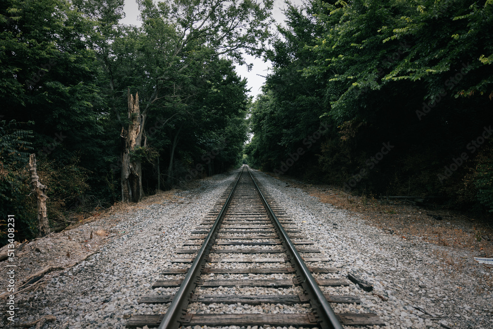 Fototapeta premium railway in the woods